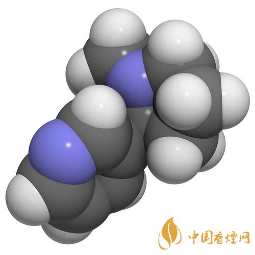 尼古丁的危害 尼古丁的危害有哪些