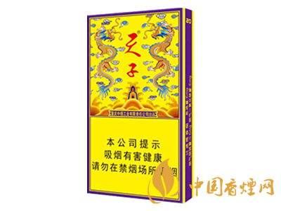 天子（傳奇細(xì)支）